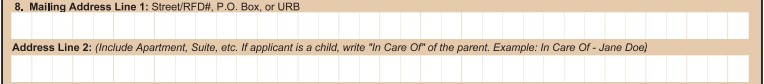 The mailing address section of a DS-11 passport application form.